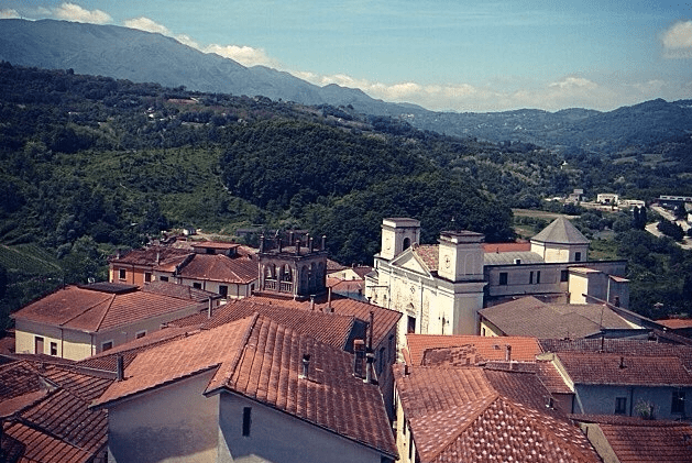 tufo top of the head.png