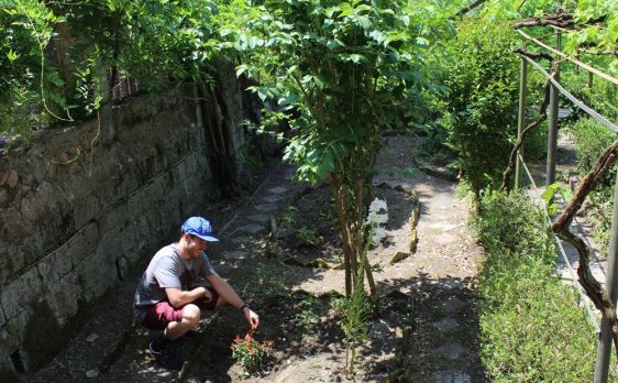 me in the garden tufo article